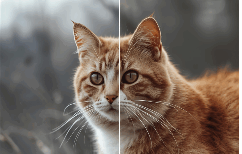 ストックフォトに使える！Photopeaでできる簡単画像修正テク