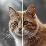 ストックフォトに使える！Photopeaでできる簡単画像修正テク